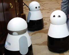 Als "liebenswertes Familienmitglied" stellt die Firma Bosch diesen Roboter vor.