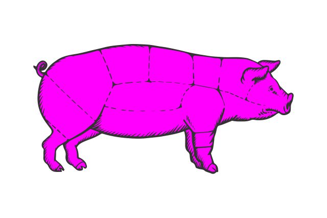 Illustration Schwein