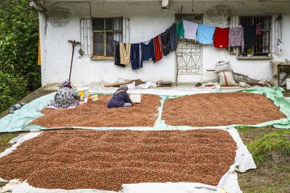 Die Lieferketten von Ferroros Nutella beginnen oft in der Türkei.