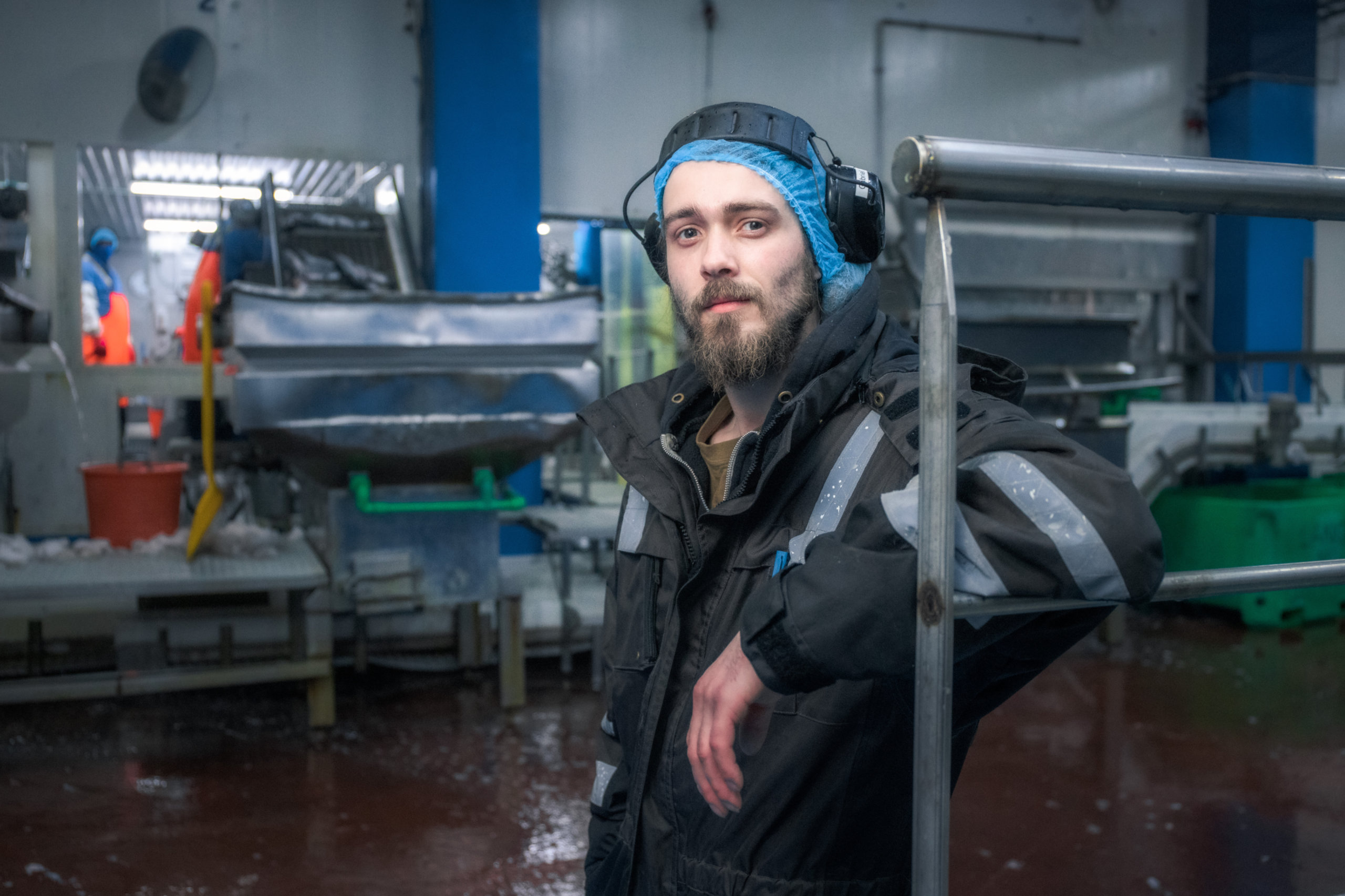 Reportage über Arbeitsbedingungen in Island arbeiten in einer Fischfabrik