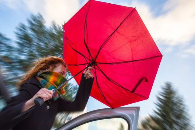 Roter Regenschirm im Sturm. Notstandshilfe muss in der Arbeitslosenversicherung bleiben.