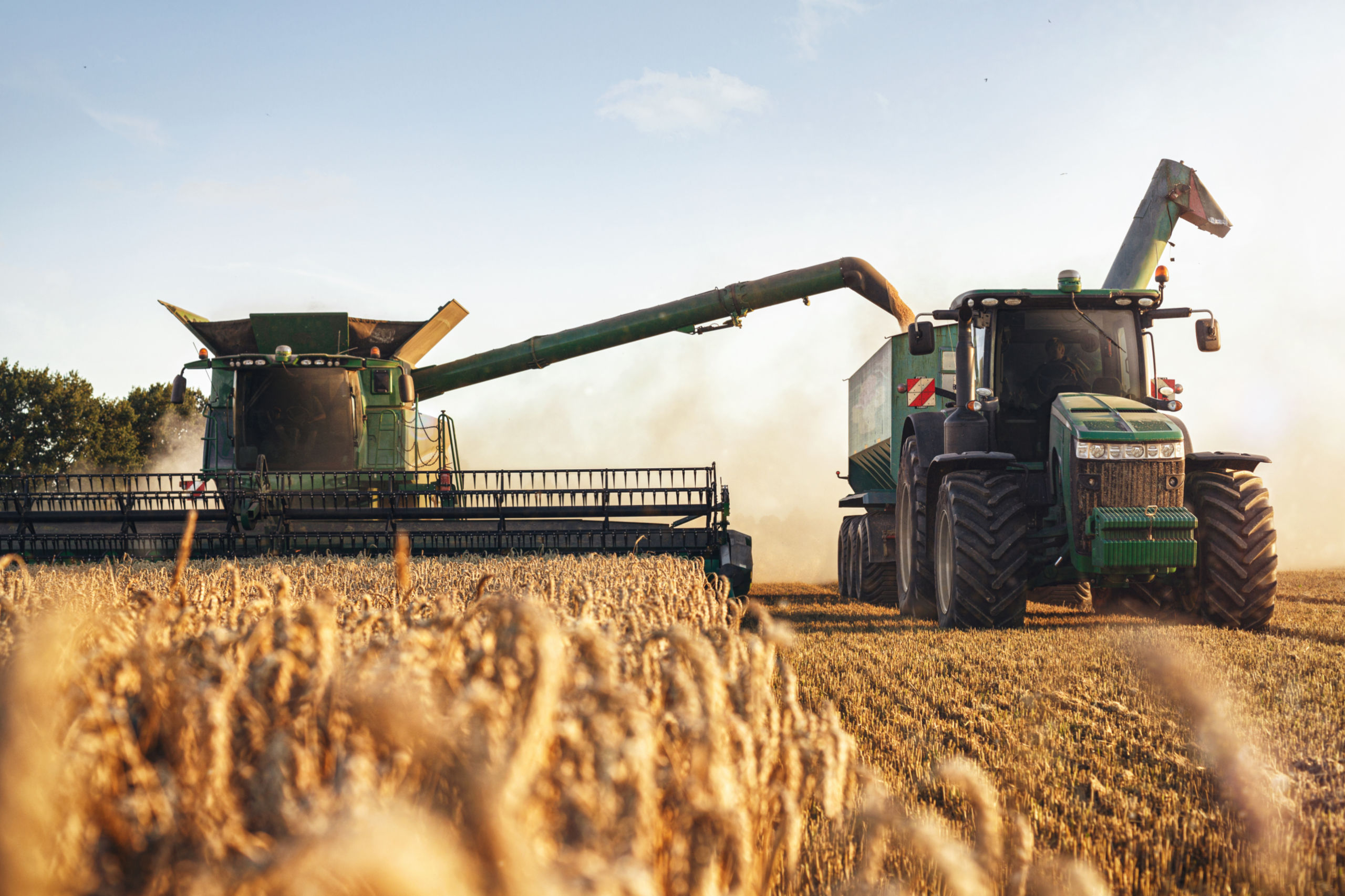 Weizenernte mit Traktor und Mähdrescher in einem Feld. Symbolbild für Spekulation mit Lebensmitteln