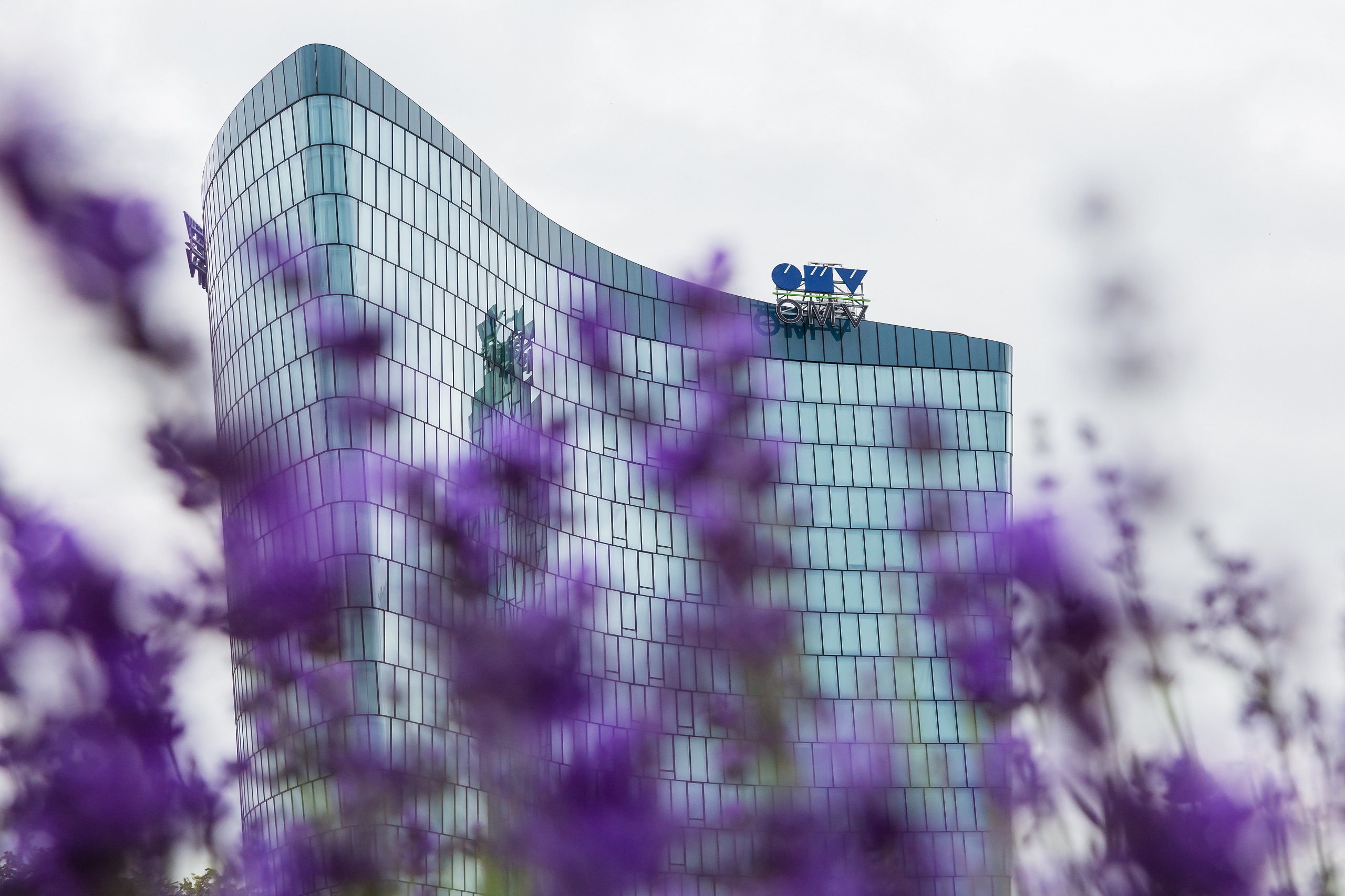 Das OMV-Gebäude hinter einem Lavendelbusch. Symbolbild für die OMV und die geringe Auszahlung an den Staat.
