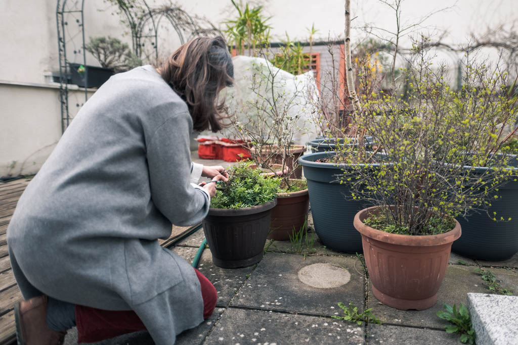 Eine Frau arbeitet im kleinen Garten des Frauenwohnprojekts.