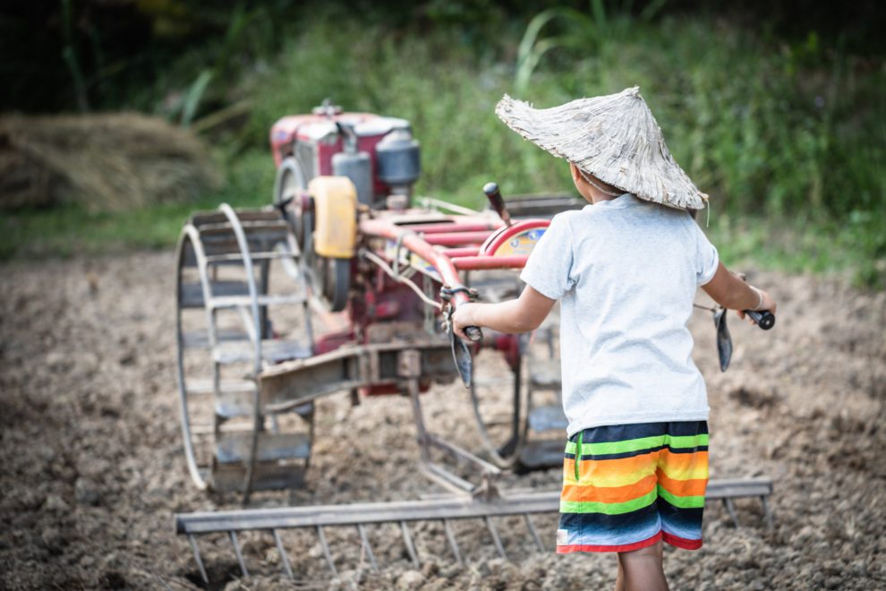 Kinderarbeit auf einer Plantage soll ein europäisches Lieferkettengesetz zukünftig verhindern.