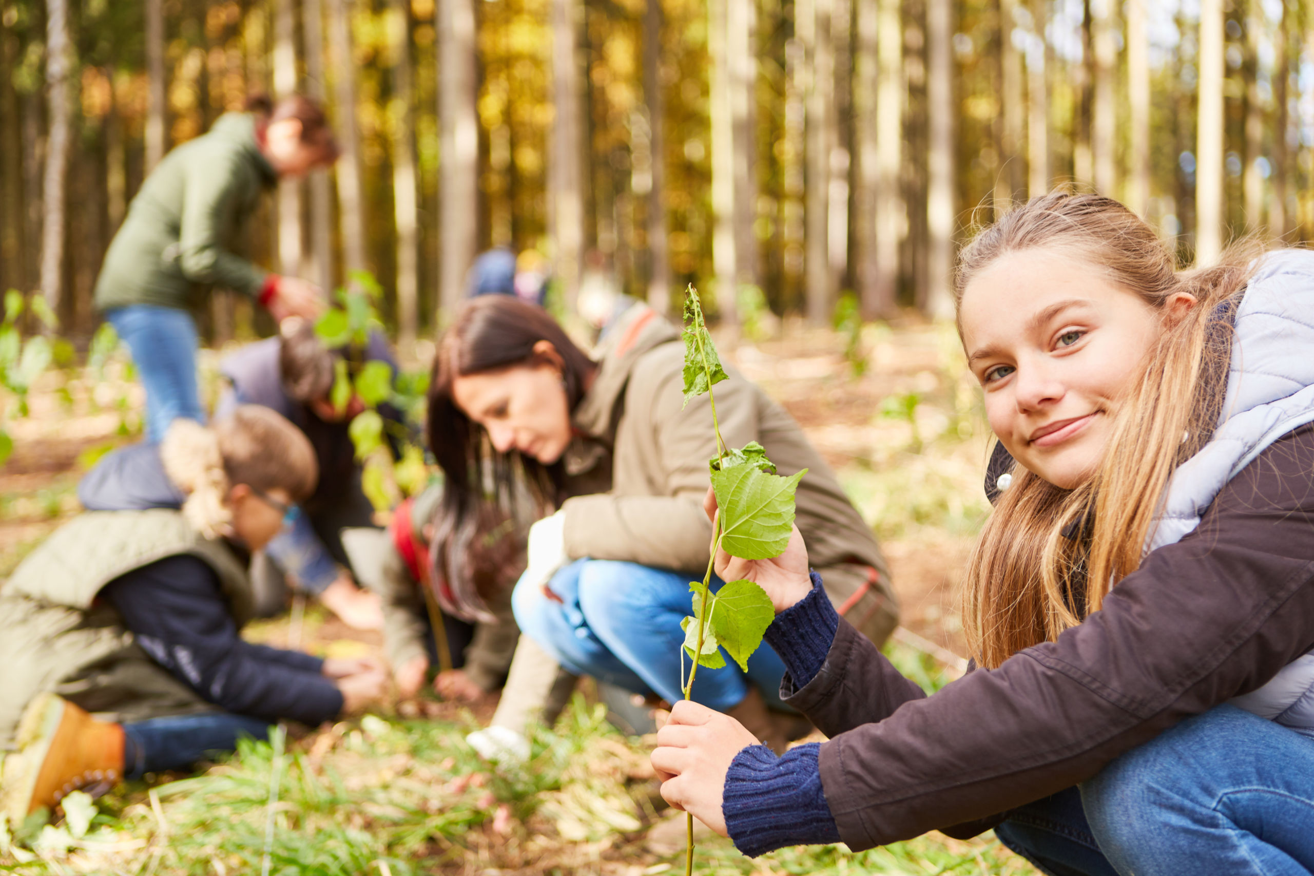 Kinder pflanzen im Rahmen der Klimabildung Bäume in einem Wald.