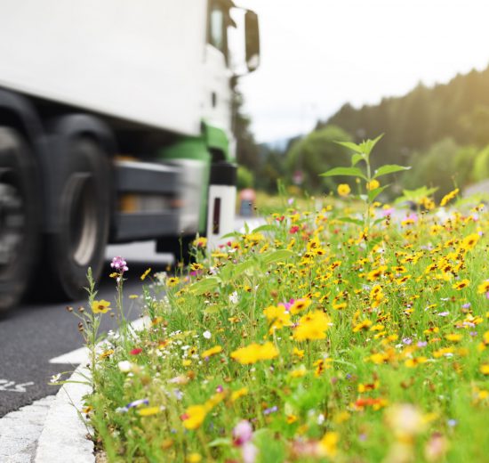 Ein Lkw fährt dicht neben einer Blumenwiese. Unternehmen Klimaschutz.