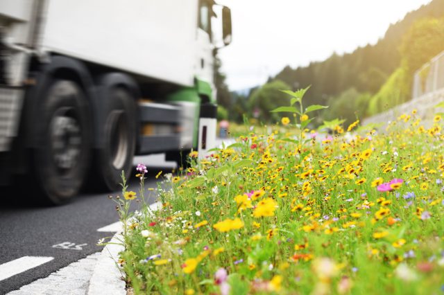 Ein Lkw fährt dicht neben einer Blumenwiese. Unternehmen Klimaschutz.