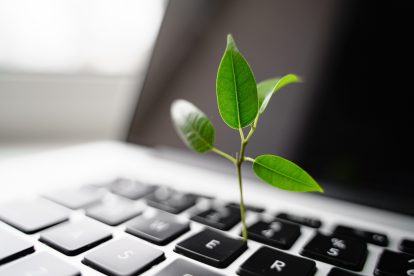 Ein Pflanzensproß wächst aus einer Tastatur heraus. Symbolbild für Nachhaltigkeitsberichterstattung.
