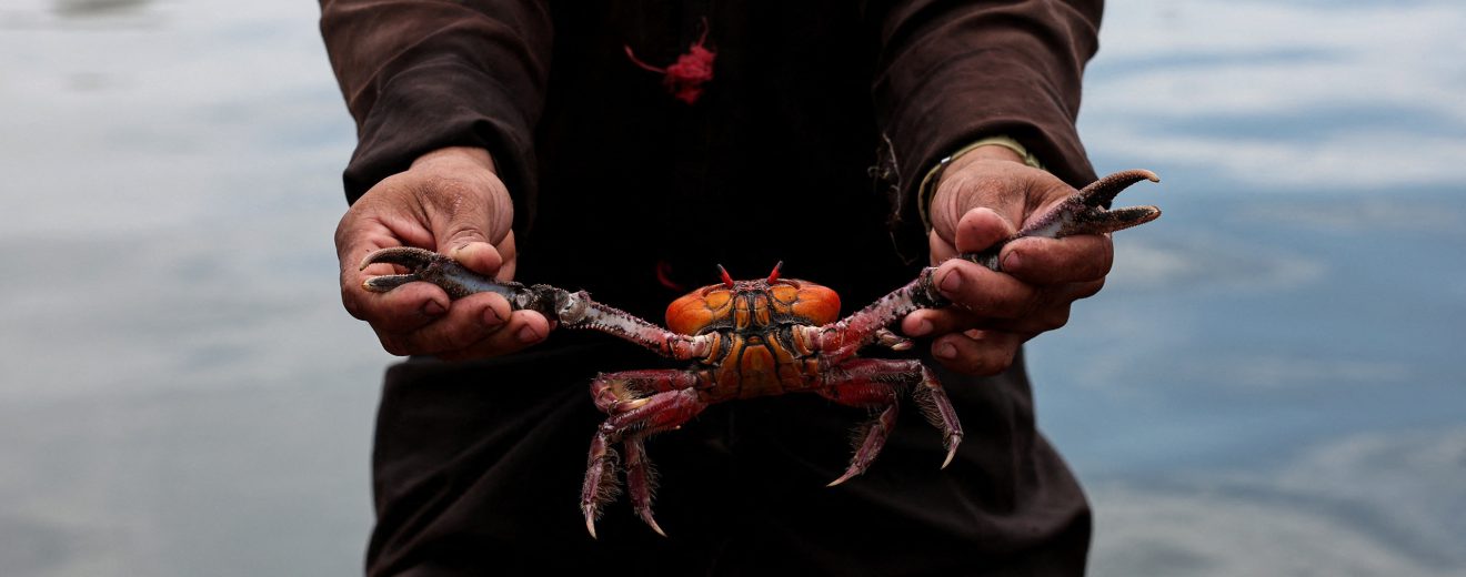Ein Mann hält eine Krabbe am Hafen von Guayaquil. Symbolbild für die Gewalt in Ecuador, der die Kleinbauern und Kleinbäuerinnen ausgesetzt sind.