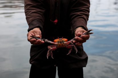 Ein Mann hält eine Krabbe am Hafen von Guayaquil. Symbolbild für die Gewalt in Ecuador, der die Kleinbauern und Kleinbäuerinnen ausgesetzt sind.