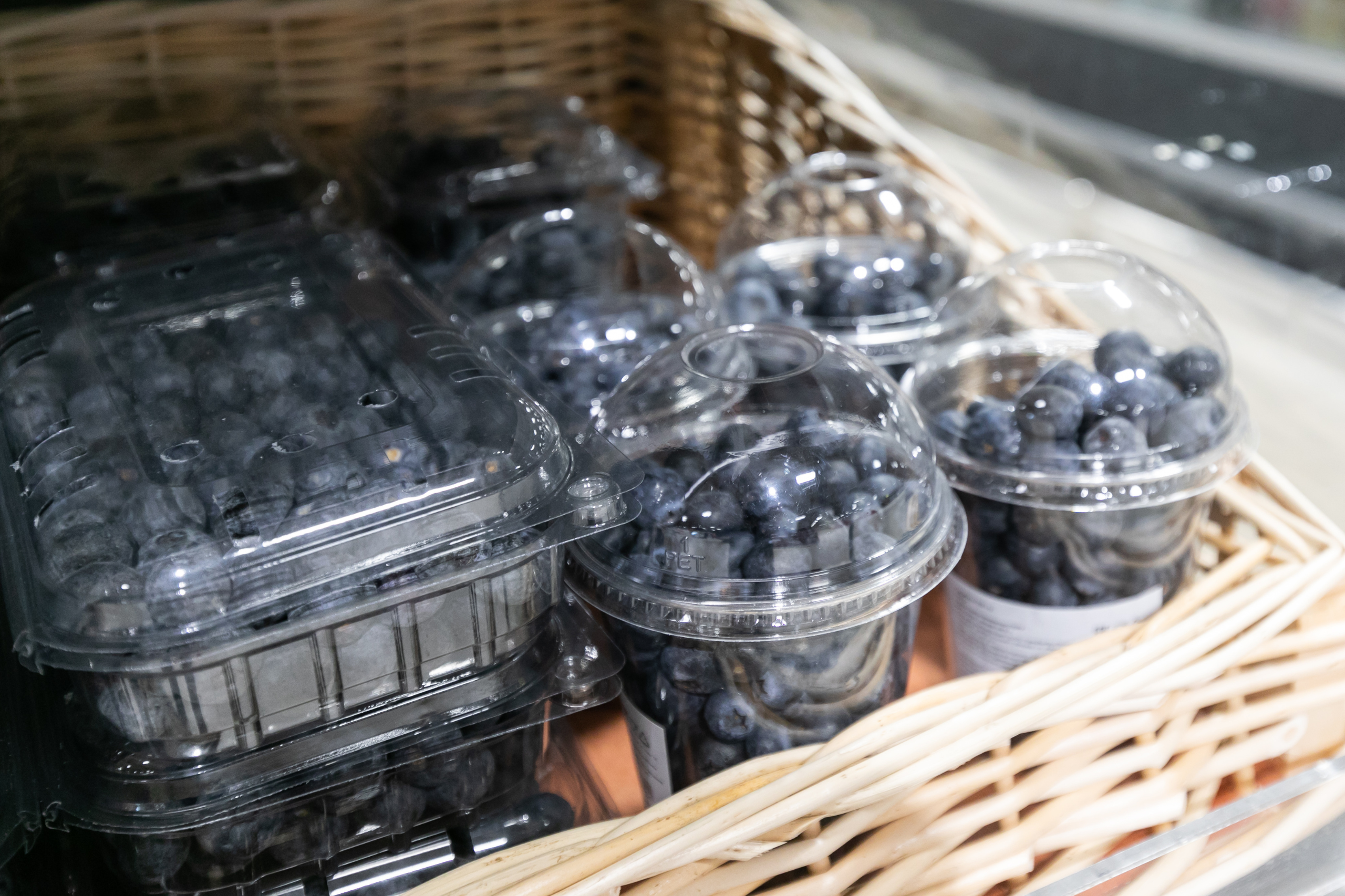 Chile: Süße Heidelbeeren, bittere Arbeitsbedingungen