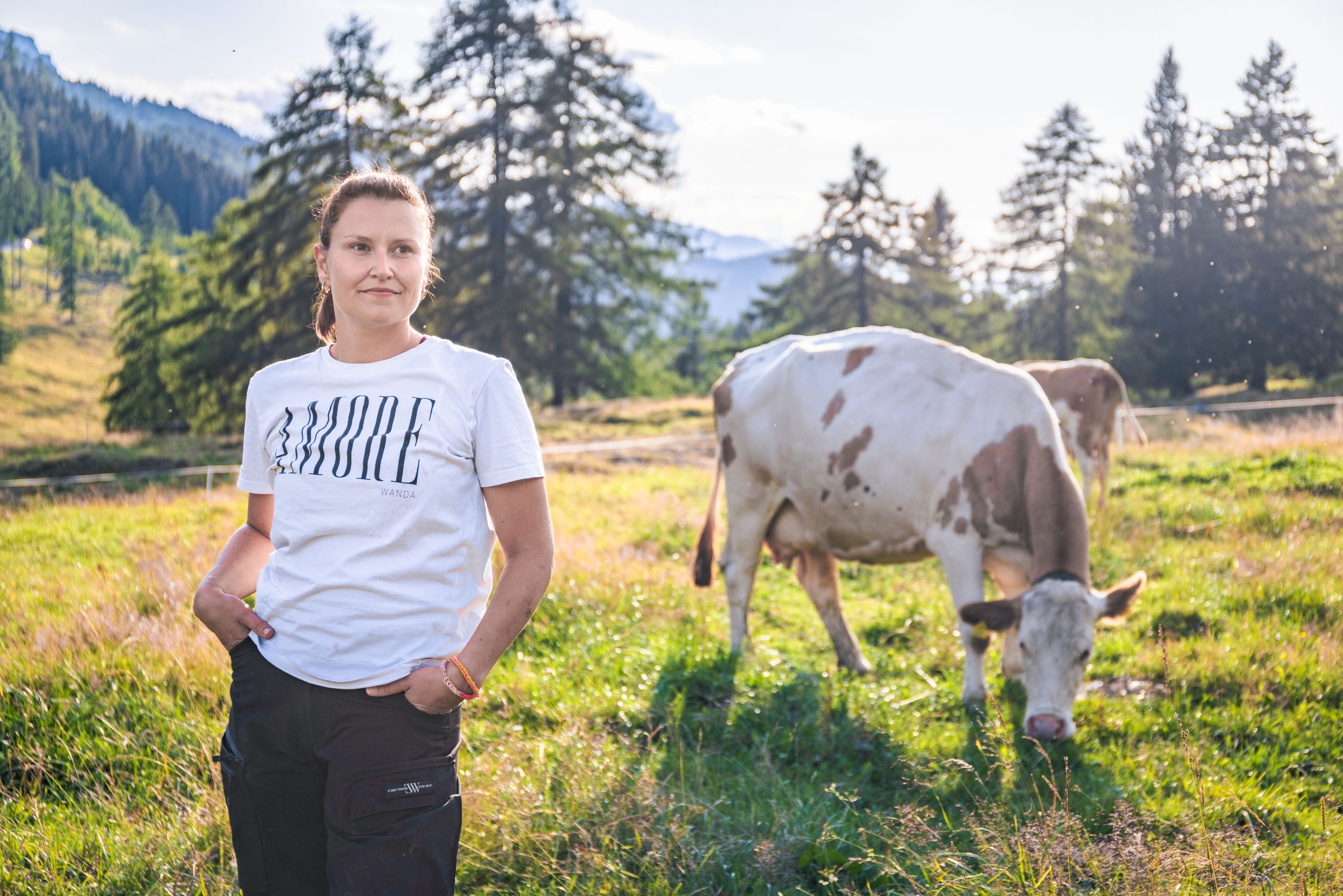 Auf der Alm: Käse, Kitsch und Knochenarbeit